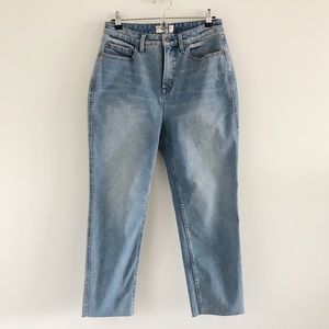 Free People Curvy High Rise Vintage Straight Jeans